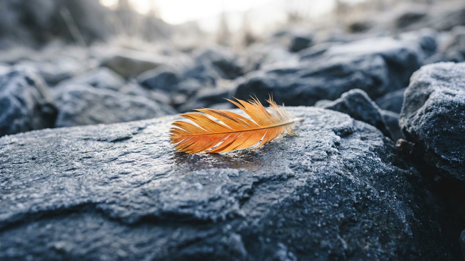 A single, brightly coloured feather resting on a cold, grey rock surface.