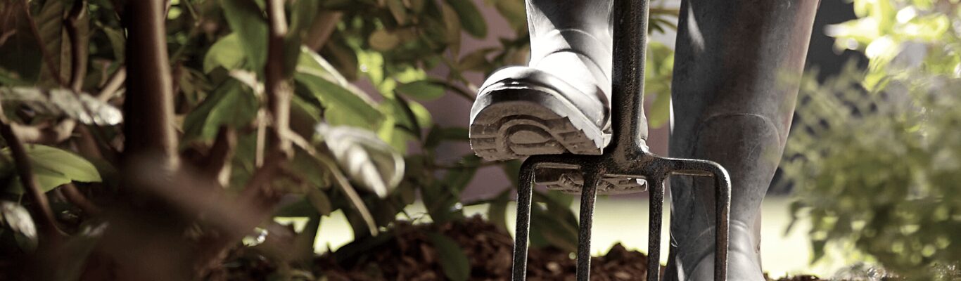 Hands turning soil over with a garden fork