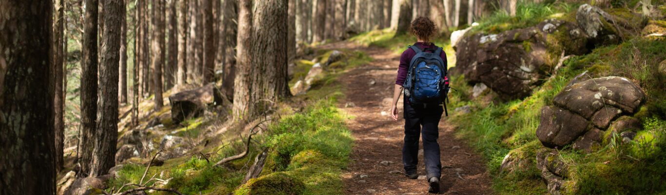 A walker following a path through open countryside